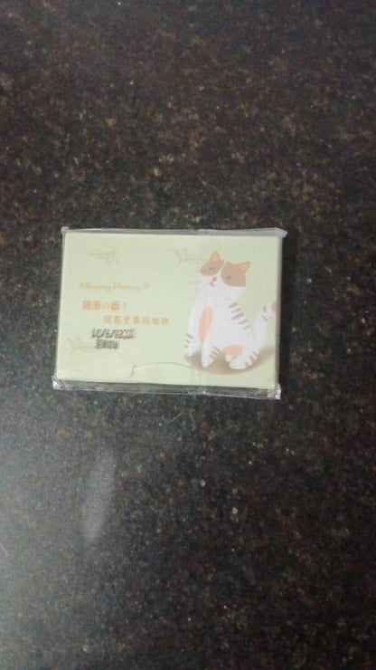 100 Pcs Oil Absorbing Papers